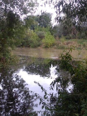 IMG_20170922_122857.jpg