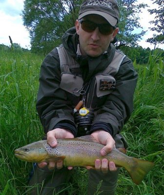 25052013292.thumb.jpg.dd53c09af48efd64c856566331523b14.jpg