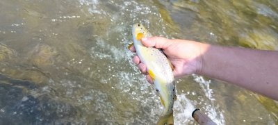 IMG20230826134706.jpg