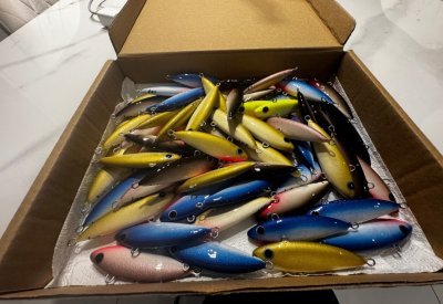 IMG_4983.thumb.jpeg.299016b909729f8c570b76c464071c48.jpeg