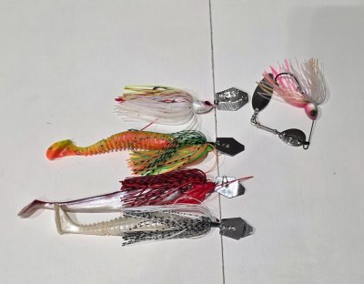 20260617_225443.jpg